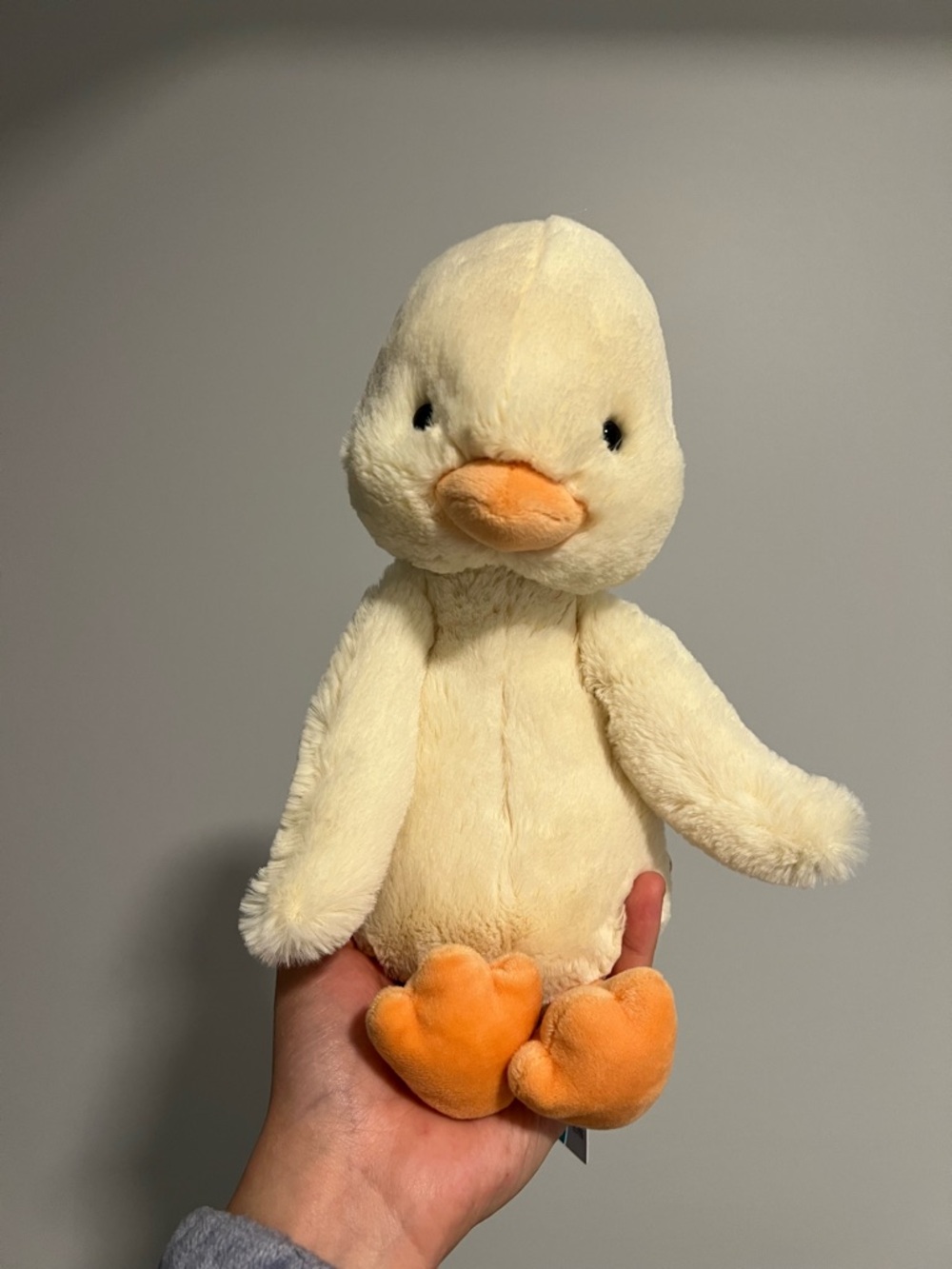 Jellycat Bashful Duck BNWT
